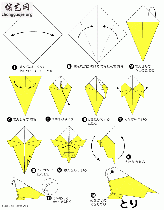 立体鹦鹉怎么折图片